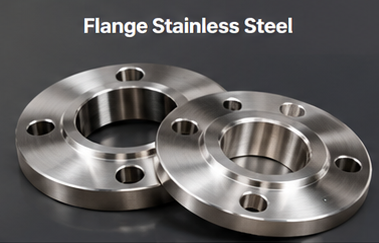 Flange Stainless Steel